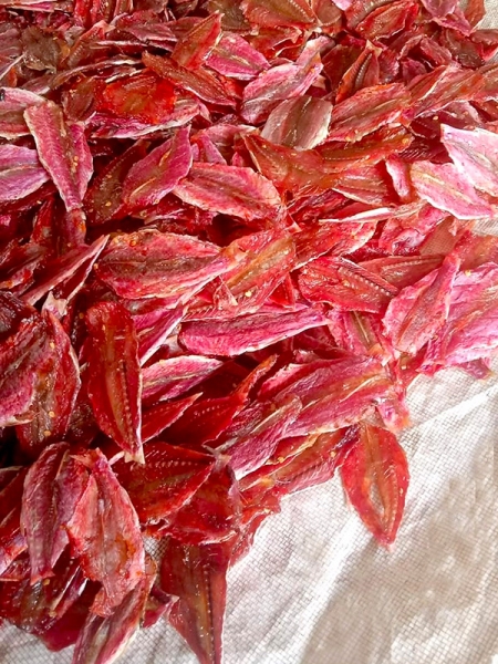 Khô cá phèn tẩm