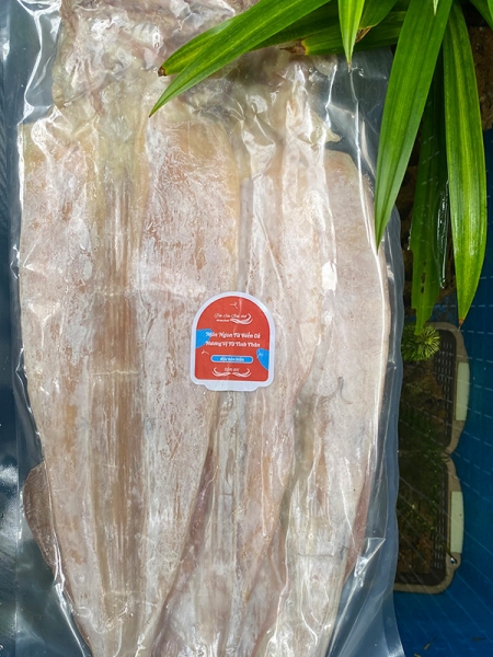 Khô mực (size 6-8 con)